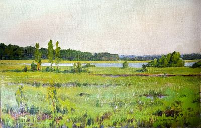 Миронов А. Кавголовговское озеро и болото. 1980 г. Марля на картоне, масло. Размер: 30 х 45 см. 