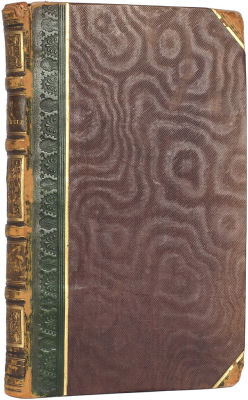 [86 гравюр] Чокке, Г. Классические виды и главные города Швейцарии / 