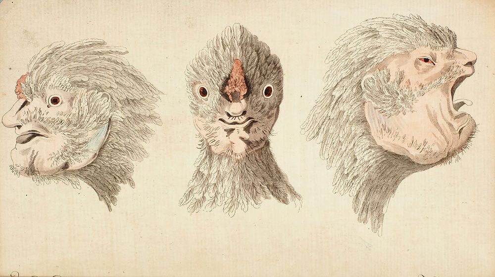 [Одно из самых редких русских изданий] Фишер, фон Вальдгейм, Г.И. Описание курицы, имеющей в 