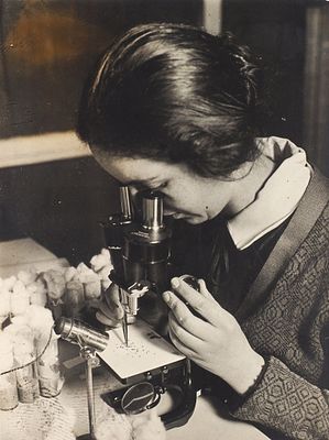 Фотография: У микроскопа. В лаборатории Тимирязевского научно-исследовательского 