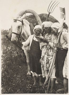 Фото: Колхозницы с лошадью / фот. А. Шайхет. [Б.м., 1930-е г. Фото: Колхозницы с 