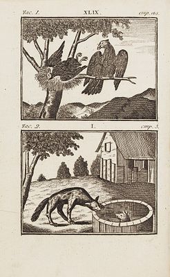 Эзоповы басни с русским переводом для наставления юношества во французском 