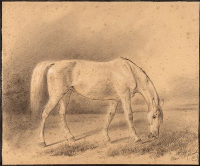 Сверчков Николай Егорович (1817–1898) &laquo;Лошадь&raquo;. 1853. Бумага, итальянский карандаш 