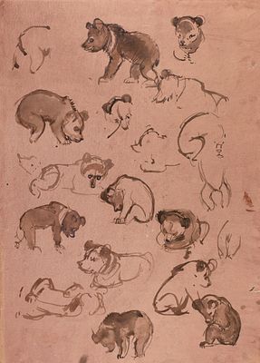 [Ученик В. Ватагина] Трофимов Вадим Вадимович (1912–1981) &laquo;Медвежонок&raquo;. Наброски. 