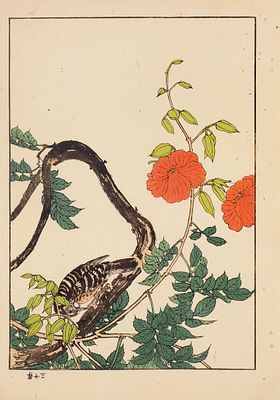 Имао Кэйнэн (1845–1924). Лист из альбома &laquo;Четыре сезона. Лето&raquo;. 18. Имао Кэйнэн 