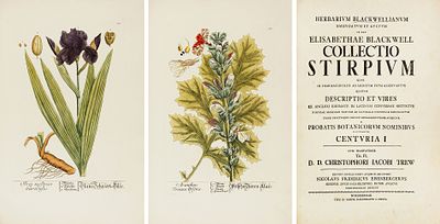 Блэквелл, Э. Гербарий Элизабет Блэквелл, переработанный и дополненный для 