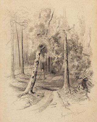 [Собрание И.В. Качурина] Лагода-Шишкина Ольга Антоновна (1850–1881) &laquo;Лесная 