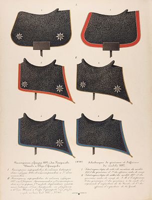 Хромолитография: Вальтрапы образца 1882 г., для генералов, Штаб и Обер-Офицеров ... 