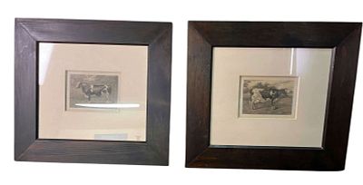 PAIR OF FRAMED & MATTED COW PRINTS. PAIR OF FRAMED &amp; MATTED COW PRINTS. Height: 21 &amp; 6 