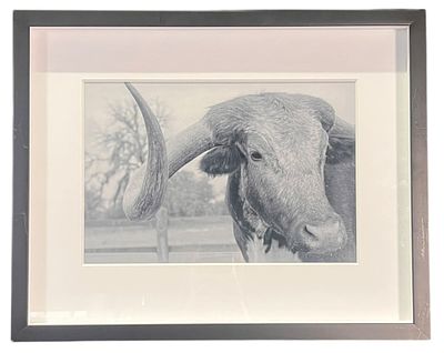 LONGHORN B/W PHOTOGRAPH BY BRITTANY HANSEN. Height: 16 in. by Width: 20 in.