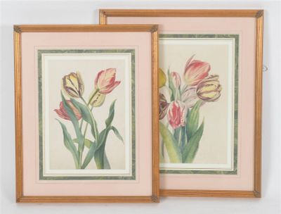 Two 19th Century Botanical Watercolors. Two unsigned paintings of tulips, in matching frames 