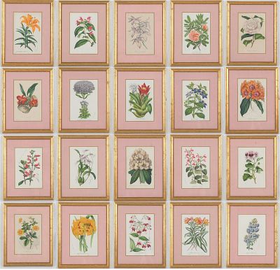 Twenty Framed Botanical Prints , Mid 19th century. A finely framed set of twenty hand colored 
