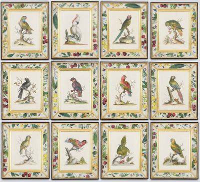 Set of Twelve Hand-Colored Engravings, George Edwards, Circa 1740. A Set of Twelve Hand-Colored 
