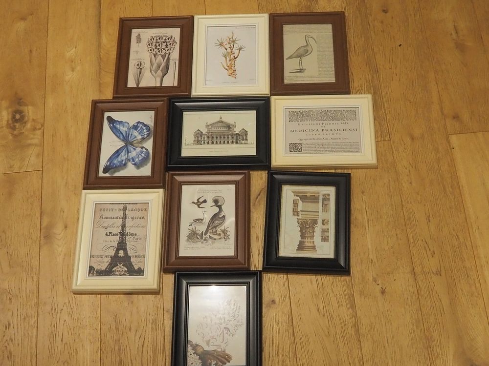 Lot 322: 10 Framed Assorted Art Prints Natural History Architectural Paris Opera Eiffel Tower Latin Title Pages