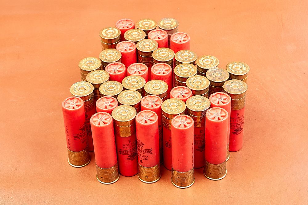 Lot 601: WINCHESTER 10-Bore No 4 3 1/2" CARTRIDGES