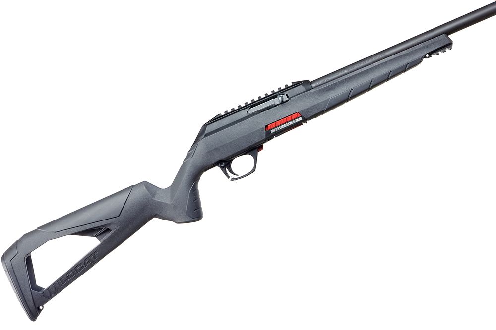 Lot 288: WINCHESTER
A .22LR WILDCAT SEMI_AUTO RIFLE SER NO TF61420Y00079