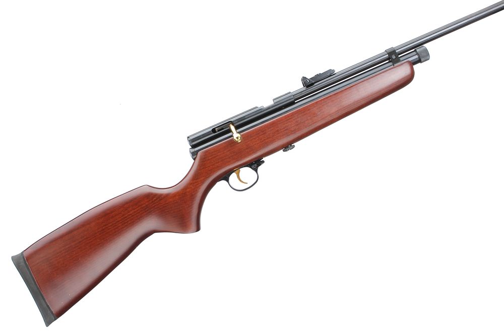 Lot 423: SMK 
A QB78 DELUXE CO2 AIR RIFLE NVSN