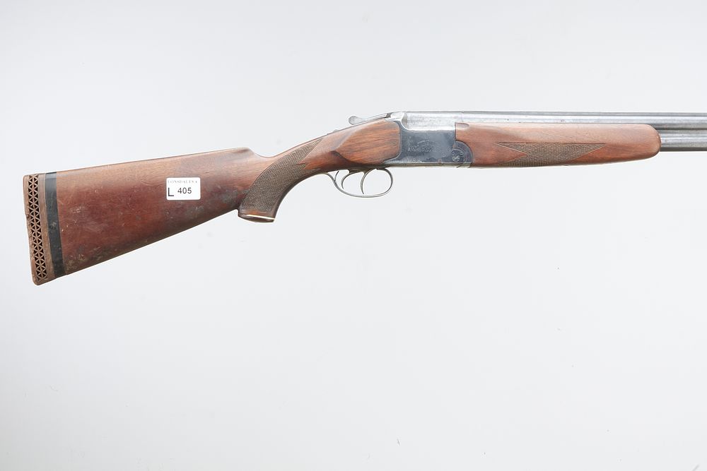 Lot 405: BAIKAL