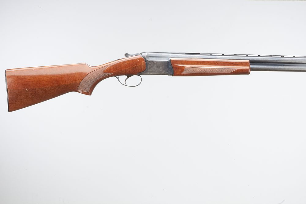 Lot 407: BAIKAL