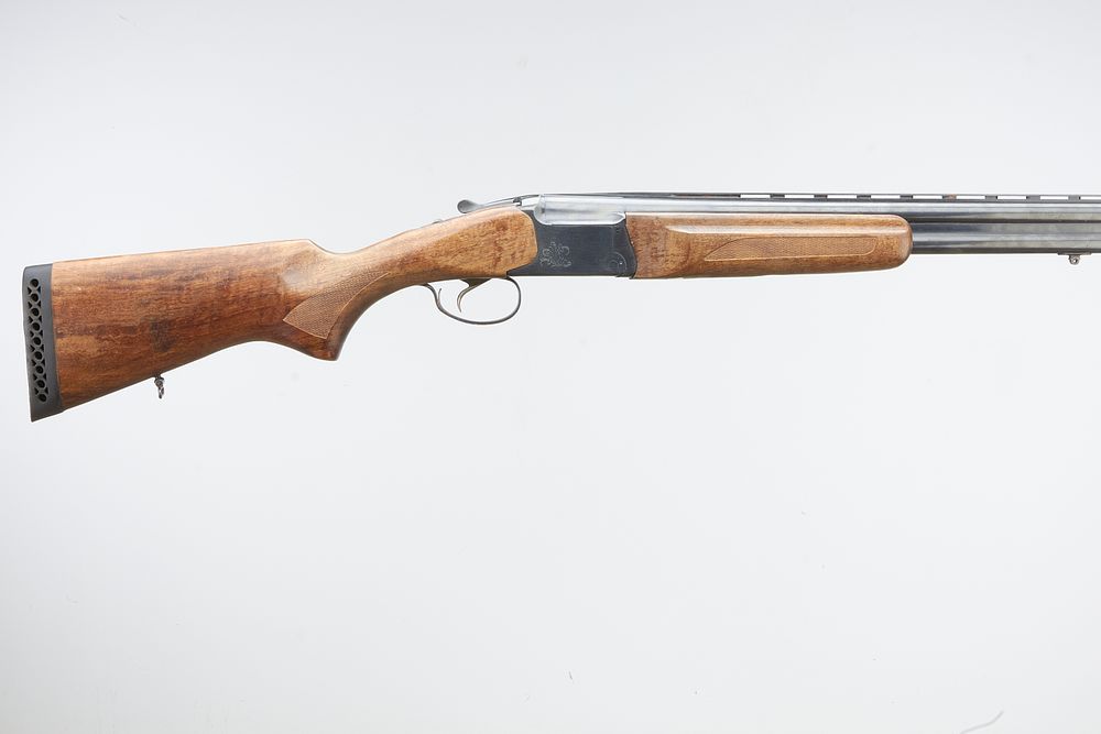 Lot 413: BAIKAL