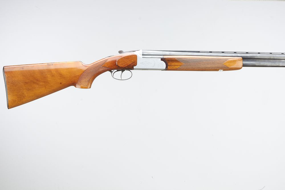 Lot 420: FIAS