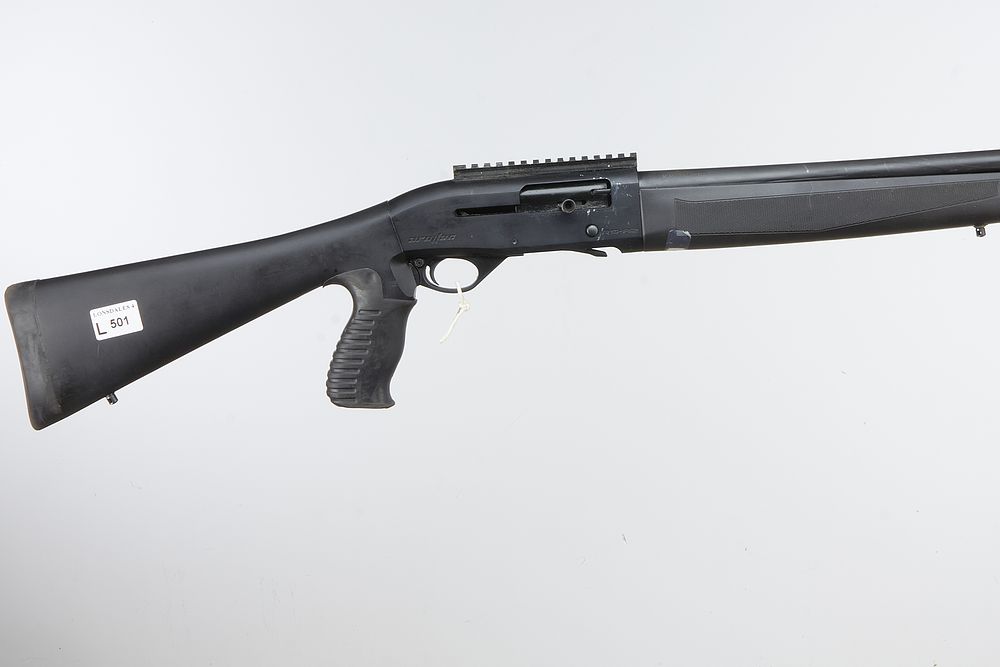 Lot 501: ARMSAN