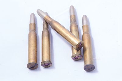 .360 NO2 NITRO EXPRESS CARTRIDGES, 5 OF. Sect 1 - FAC or RFD to buy this lot