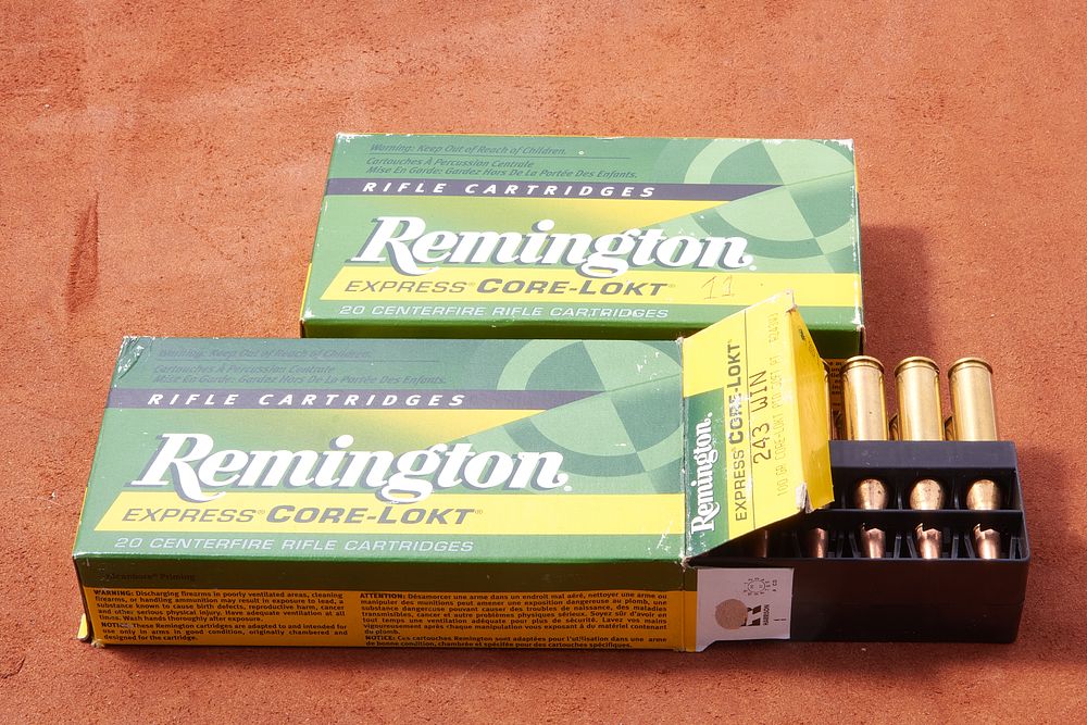 Lot 719: .243 WIN REMINGTON CORE-LOKT CARTRIDGES, 40 OF