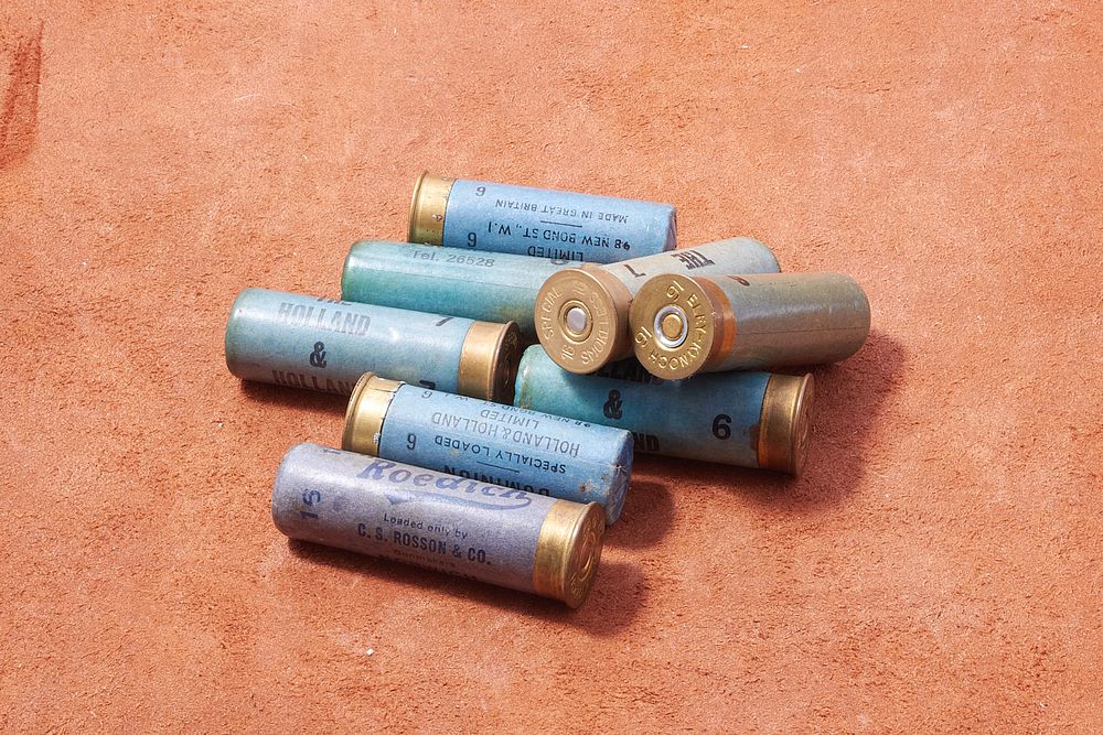 Lot 409: ASSORTED 16 BORE CARTRIDGES, 8 OF