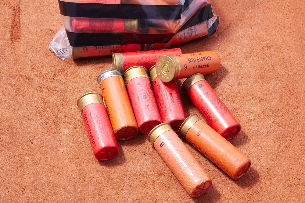 Lot 1521: ASSORTED SOUTHERN 12 BORE SHOTGUN CARTRIDGES