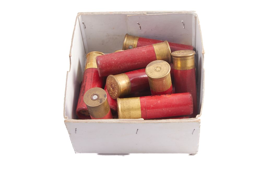 Lot 385: ASSORTED ELEY 8 BORE CARTRIDGES, APPROX. 25 OF