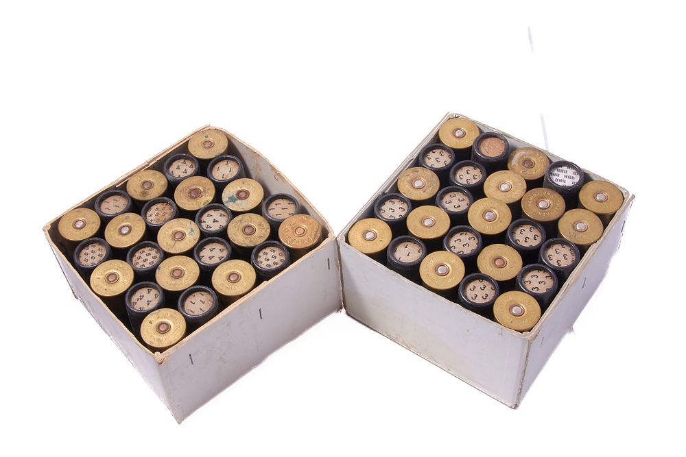 Lot 383: ASSORTED REMINGTON 8 BORE CARTRIDGES, 50 OF