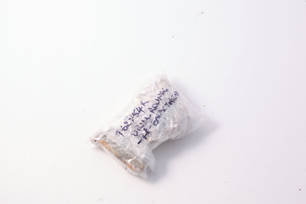 Lot 1337: 7.62 X 54R DRILL ROUNDS FOR REENACTMENT