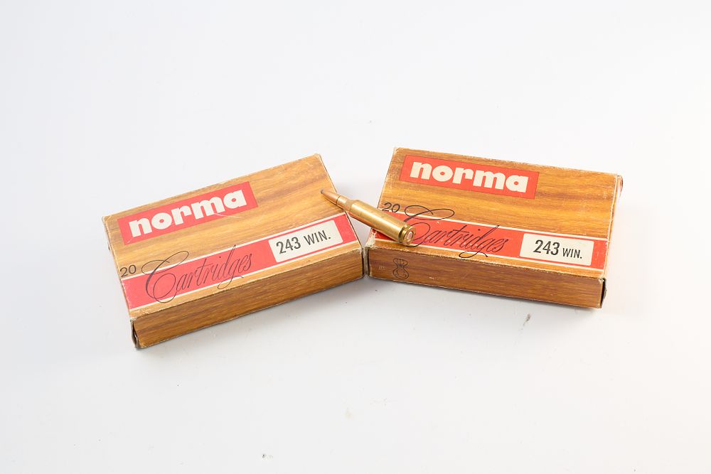 Lot 780: NORMA .243 WIN 100GR, 40 OF