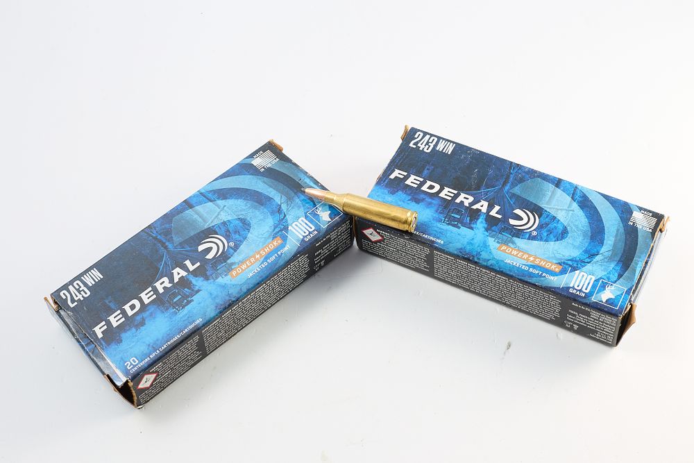 Lot 772: FEDERAL .243 WIN 100 GR, ASSORTED W/ SPENT BRASS