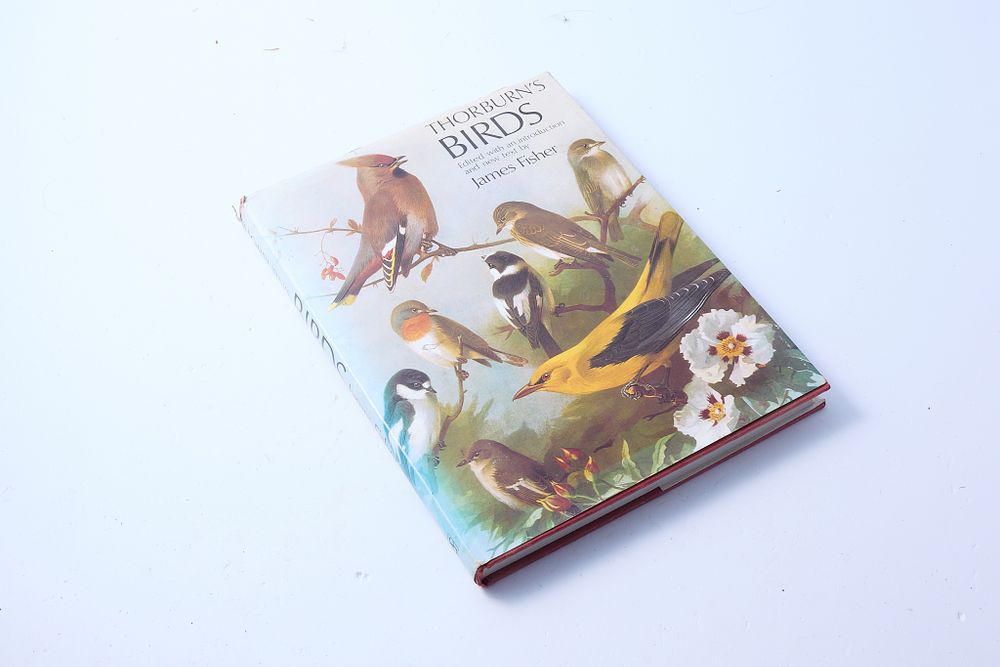Lot 962: "THORBURN'S BIRDS BY JAMES FISHER"