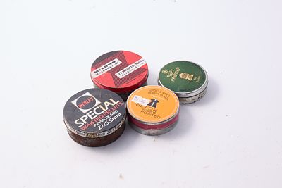 ASSORTED .22 AIRGUN PELLETS