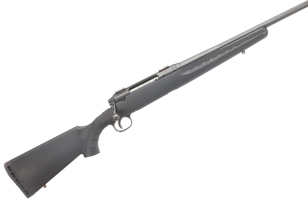 Lot 351: SAVAGE