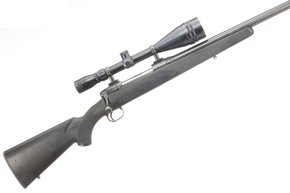 Lot 368: SAVAGE