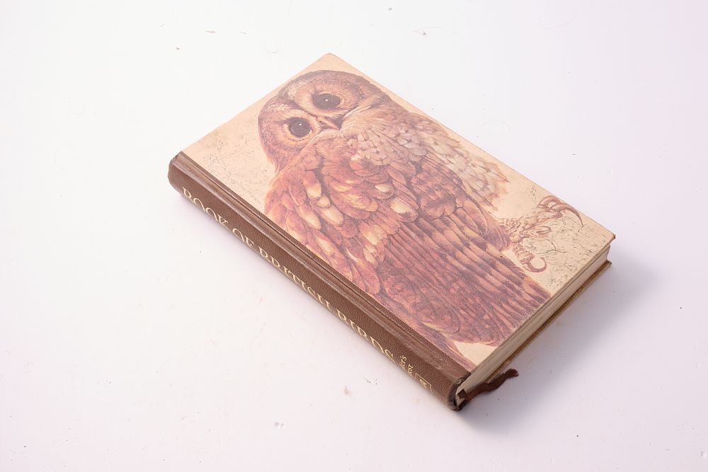 Lot 568: "BOOK OF BRITISH BIRDS- READERS DIGEST"