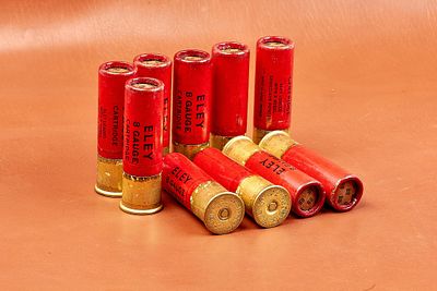 ELEY 8-BORE 3" BB PAPER CARTRIDGES 7 OF 
THE HEAD STAMPED 'ELEY-KYNOCH 8 ICI (LOGO) 8' 
SECT 