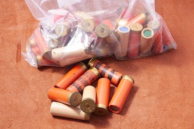 ASSORTED PLAIN 12 BORE CARTRIDGES. Sect 2 - Shotgun Certificate / RFD to buy this lot