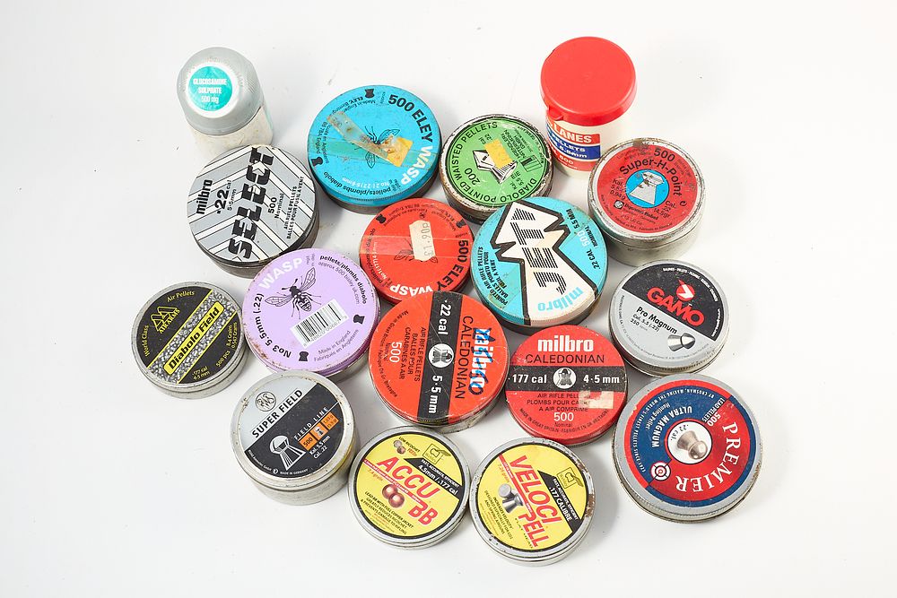 Lot 252: AIRGUN PELLETS ASSORTED;