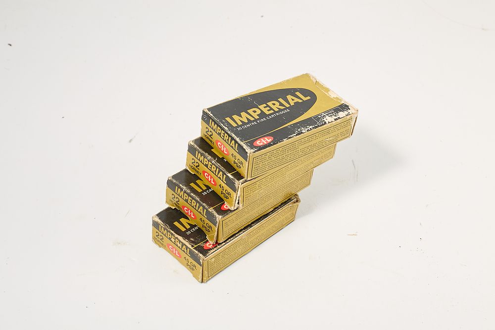 Lot 463: 22 HORNET 100 of