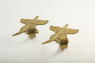 A PAIR OF BRASS PHEASANT COAT HOOKS