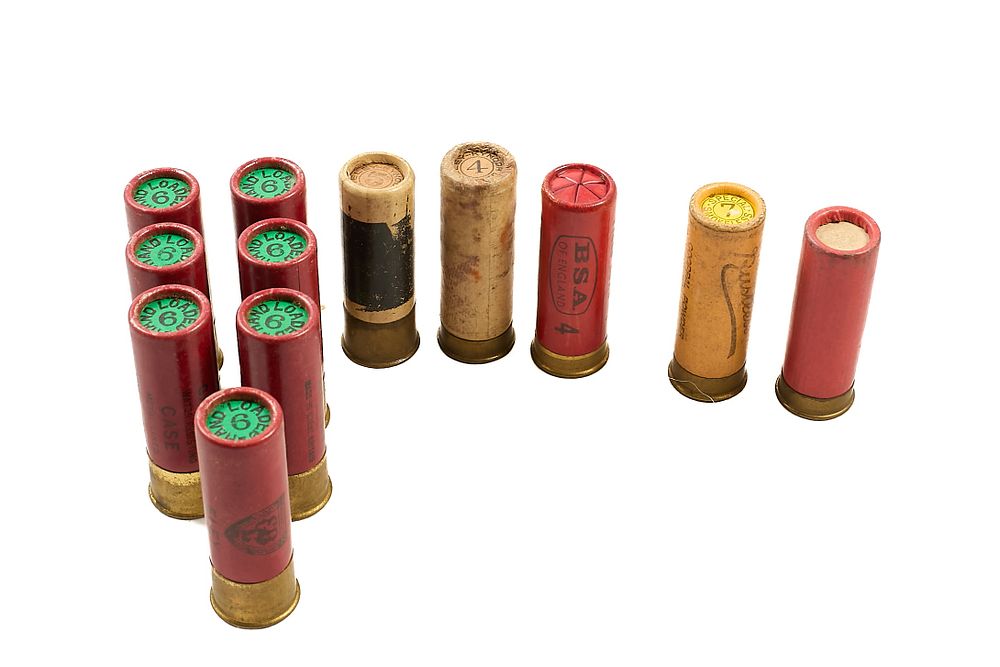 Lot 195: COLLECTORS 12-BORE CARTRIDGES, 12 OF;