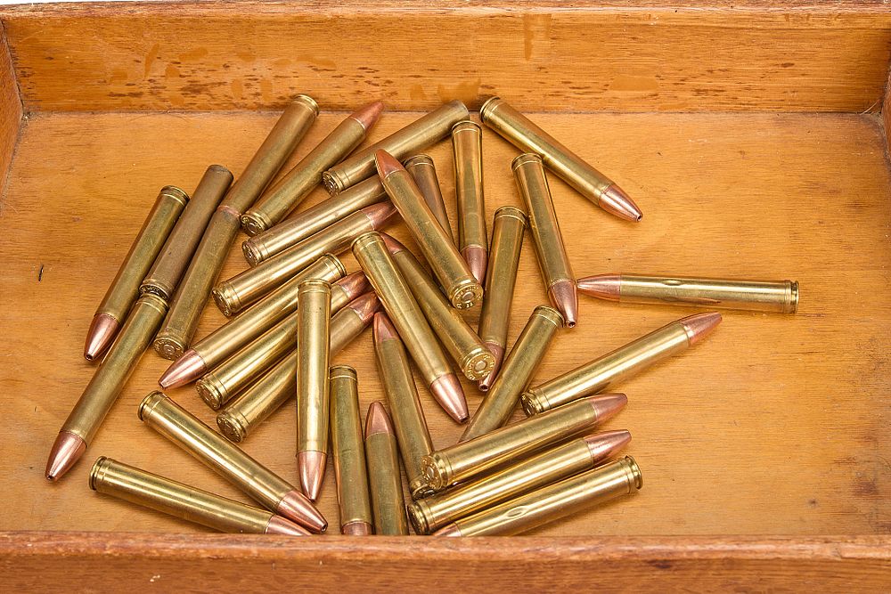 Lot 292: .458 LOTT, 27 OF & 10 ONCE FIRED BRASS;