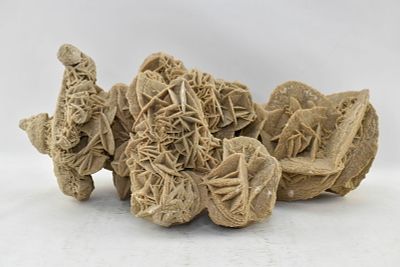 Large Desert Rose Selenite Formation. Large display specimen with unique shape. 9.5 x 20 x 9.5