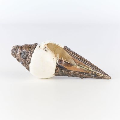 Tibetan Dungkar Shanka Prayer Conch Trumpet. Tibetan Dungkar Shanka ceremonial prayer conch