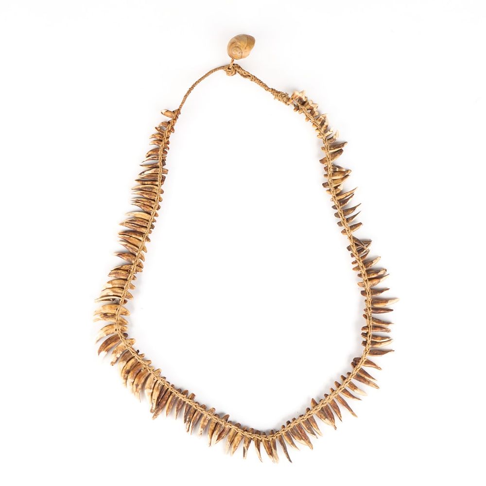 Lot 335: Early 20th c. PNG Asmat Dogtooth Necklace
